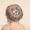 Profilbild von Softmaximalist
