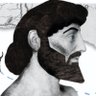 Ulyxes's profile picture