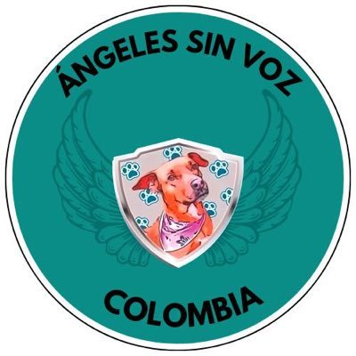Ángeles sin Voz ♡'s profile picture