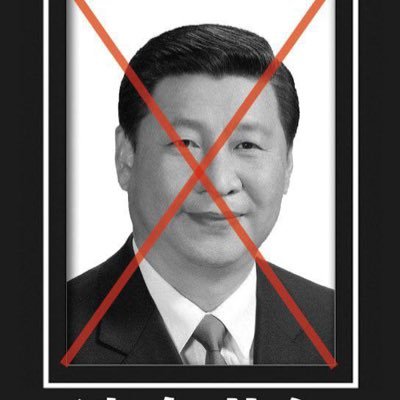 XIAOHUA WANG's profile picture