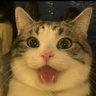 Profilbild von Sleepy StormTroopers |