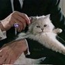 Profilbild von Spectre