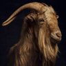 G.O.A.T's profile picture