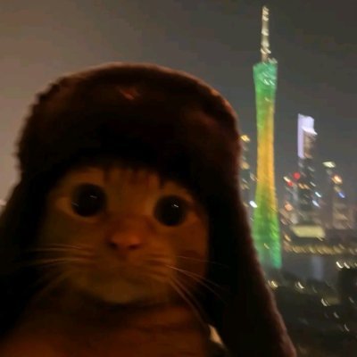 yujin's profile picture