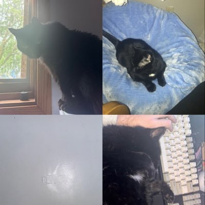 traverthegoat's profile picture