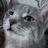 Profilbild von Harper