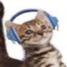 Javier's profile picture