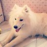 todd | 大西瓜 profil fotoğrafı