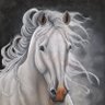 David's profile picture