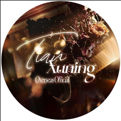 田栩宁的环球序章's profile picture