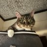 Mila profil fotoğrafı