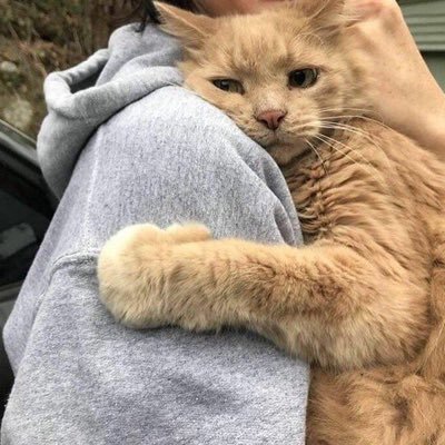 رویا's profile picture