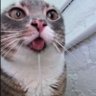 Cân nhiều gu😳 的头像