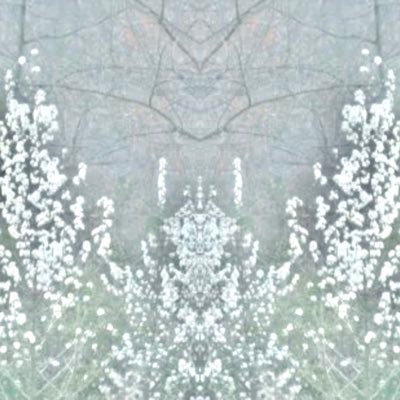 henrylyskava's profile picture