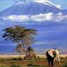 Profilbild von nyumbanipacho