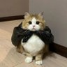 wa's profile picture
