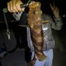 Profilbild von novice angler