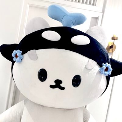 WittySmirK's profile picture
