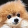 Фото профиля Kuma