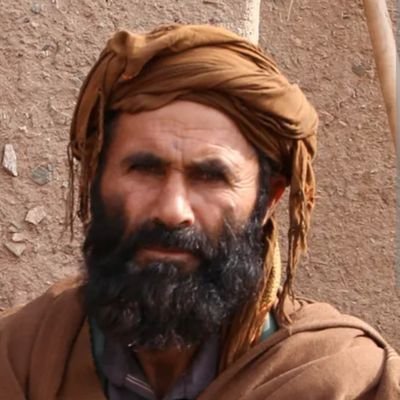 Yaaqob Haqani's profile picture