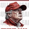 SickAsFuckOfThesePOS's profile picture
