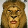 Profilbild von Enes Gs