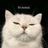 Anshul profil fotoğrafı