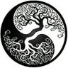 Profilbild von Tao