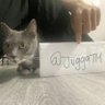 Profilbild von Jugga