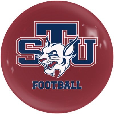 STU Football's profile picture