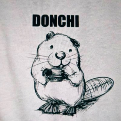 どてㄘん🦫's profile picture
