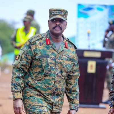 FredShaka's profile picture