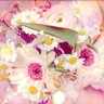 りる's profile picture