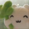 xixi's profile picture