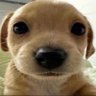 carley profil fotoğrafı