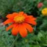 Фото профиля KateMack