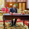 Mohamed Amzil 的头像