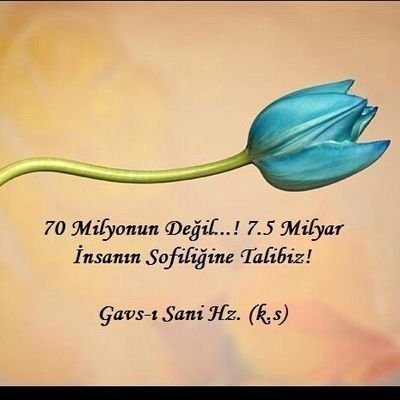 Lâle,Gül,Nergis 🇹🇷's profile picture