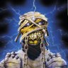 Profilbild von Iron Dude