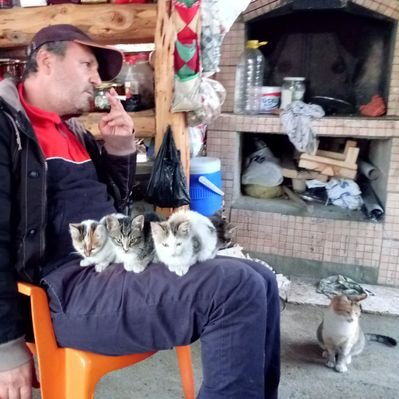 ibrahim_gezici's profile picture