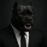 Profilbild von Pitbull Político MX