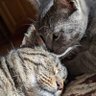 7/8tel profil fotoğrafı