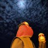 عيد الرمالي profil fotoğrafı