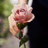 Фото профиля MANAL مـنـال