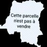 Ousmane Alain Bossale's profile picture