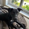 Olive's profile picture