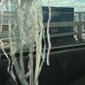 Фото профиля るーろーはん