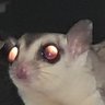 bungo discatchathaw's profile picture