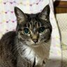 Profilbild von YUKA🦍🍆🍌⛄️🐷😼🐮🐈🐈⬛