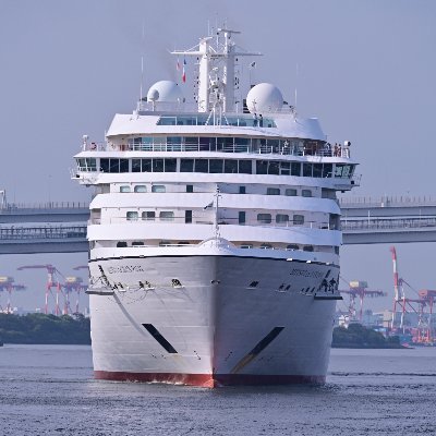 Ichipenmaritime's profile picture